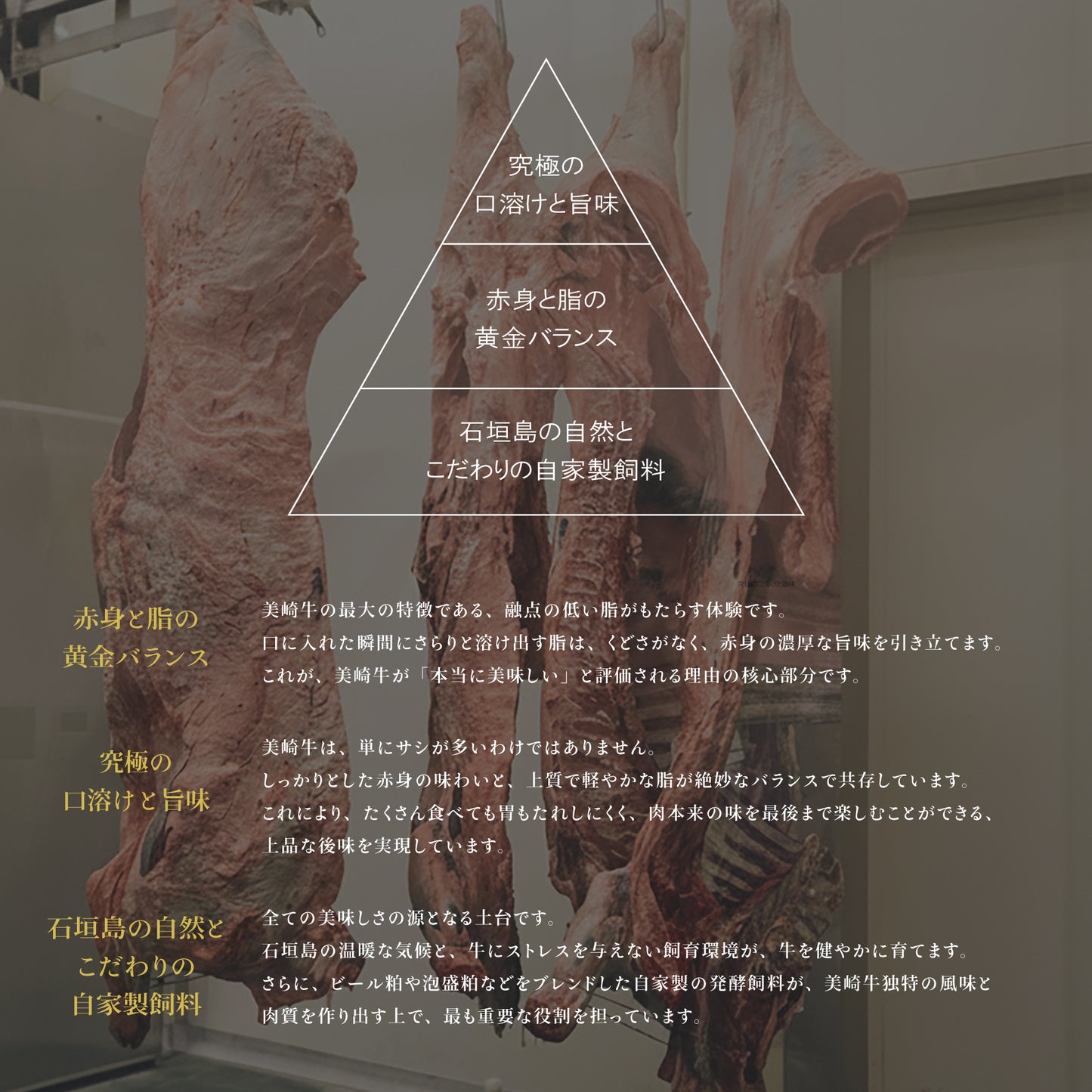 【2025年お歳暮特選ギフト】美崎牛 プレミアムセット【華 -はな-】5万円|人気の部位を増量したワンランク上の豪華セット