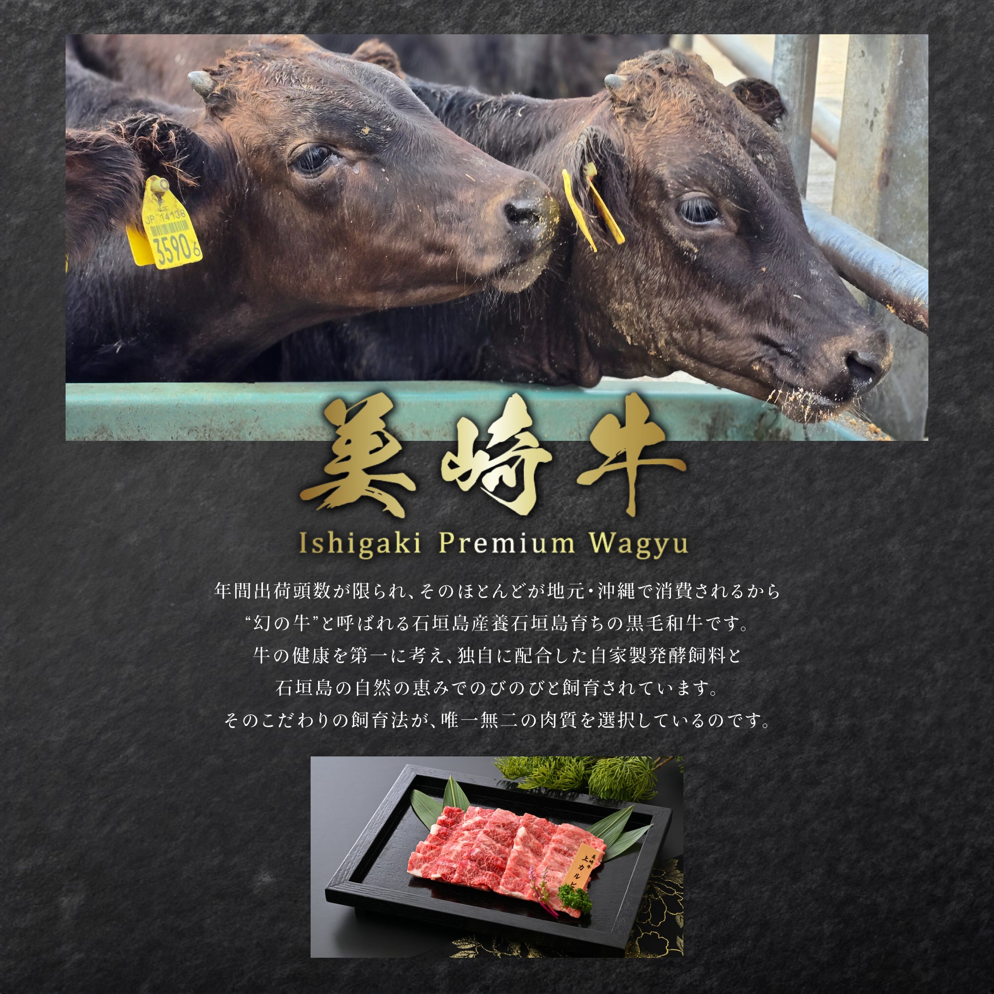 美崎牛 煮込み用スネ肉｜石垣島 和牛 ホロホロ シチュー カレー
