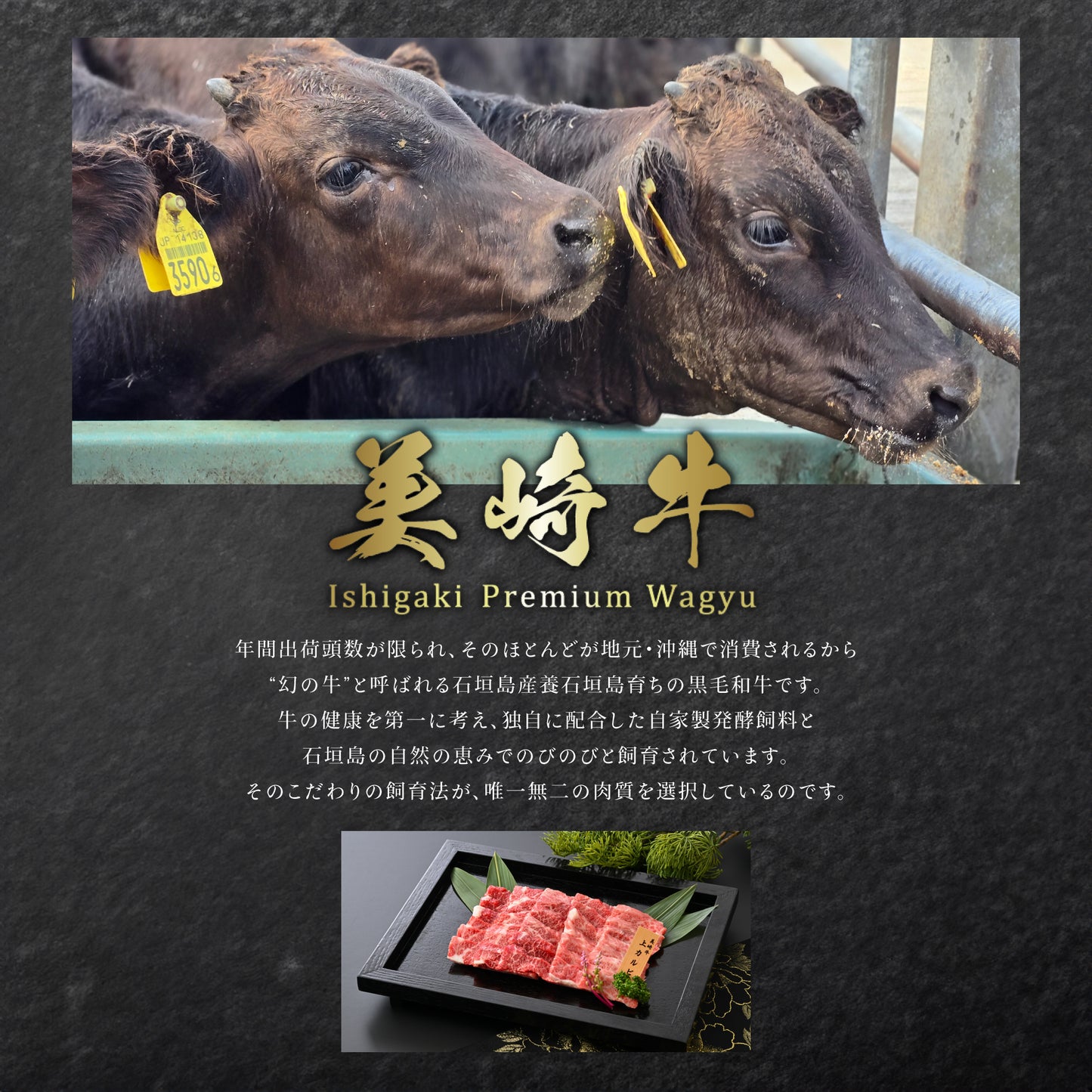 【2025年お歳暮・冬ギフト】美崎牛 特選上ロース｜肉の目利きが選ぶ逸品。石垣の塩で味わう贈答品