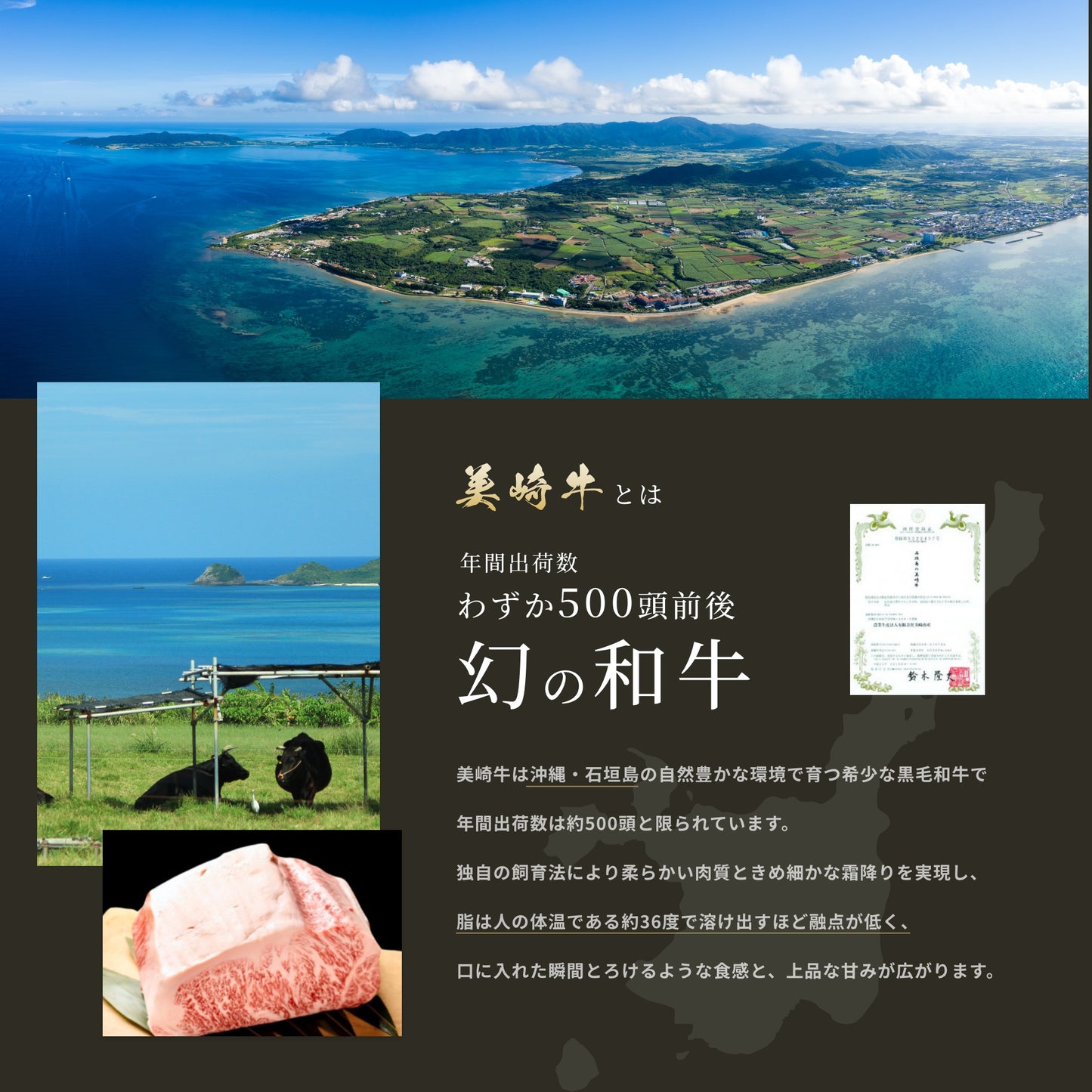 美崎牛ハンバーグ