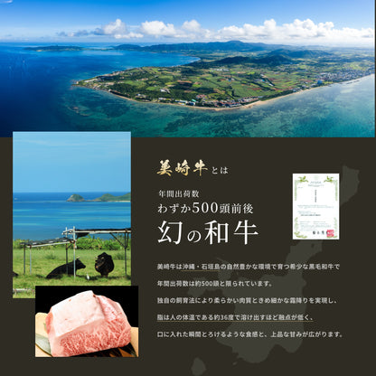 美崎牛ハンバーグ