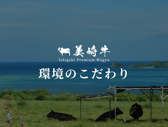 環境のこだわり